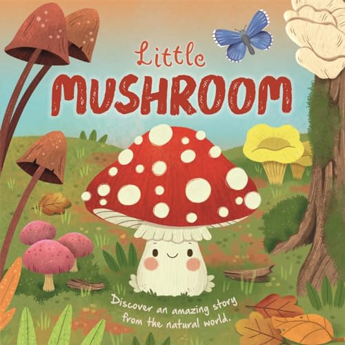 Little Mushroom (An illustrated story about the life-cycle of a mushroom)