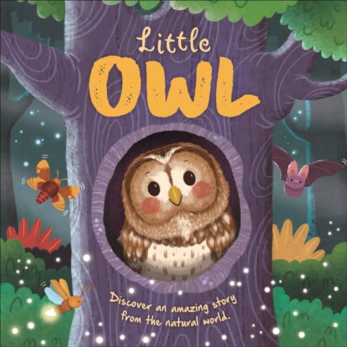Little Owl (An illustrated story about the life-cycle of an owl)