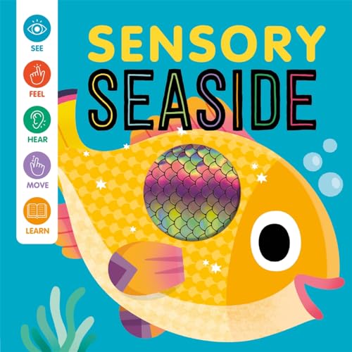 Sensory Seaside (Baby Sensory Book)