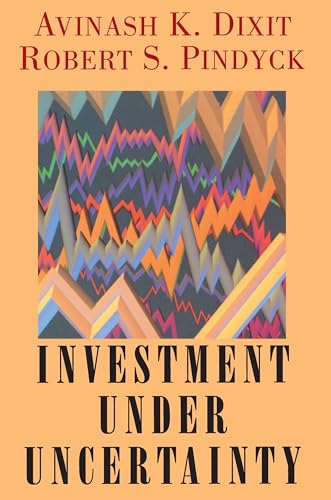Investment under Uncertainty von Princeton University Press