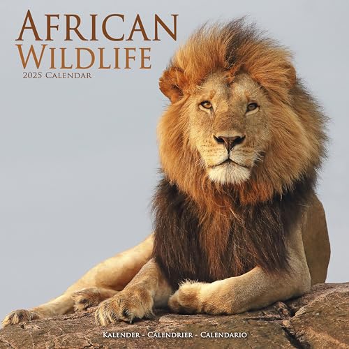 African Wildlife – Afrikanische Tierwelt 2025 – 16-Monatskalender: Original Avonside-Kalender [Mehrsprachig] [Kalender] (Wall-Kalender)