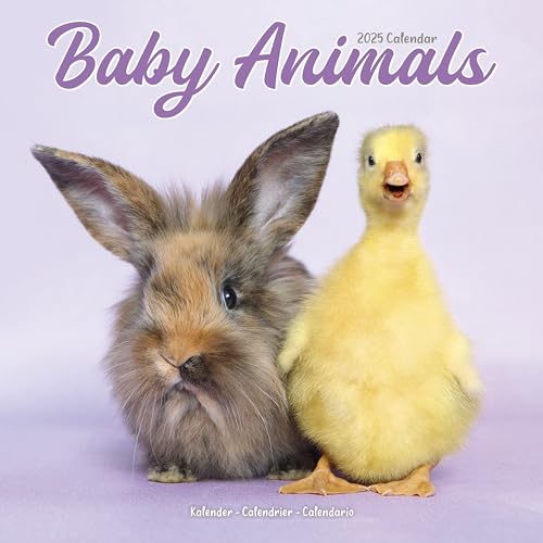 Baby Animals – Tierbabys 2025 – 16-Monatskalender: Original Avonside-Kalender [Mehrsprachig] [Kalender] (Wall-Kalender) von AVONSIDE