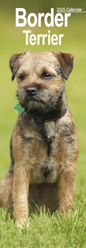 Border Terrier 2025: Original Avonside-Kalender – Slimline [Mehrsprachig] [Kalender] (Slimline-Kalender)