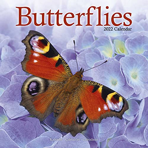 Butterflies - Schmetterlinge 2022 - 16-Monatskalender: Original Avonside-Kalender [Mehrsprachig] [Kalender] (Wall-Kalender)