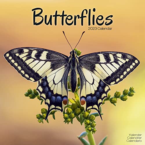 Butterflies - Schmetterlinge 2023 - 16-Monatskalender: Original Avonside-Kalender [Mehrsprachig] [Kalender] (Wall-Kalender) von BrownTrout
