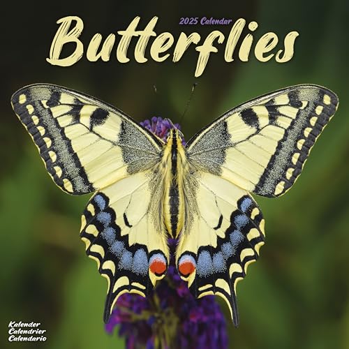 Butterflies – Schmetterlinge 2025 – 16-Monatskalender: Original Avonside-Kalender [Mehrsprachig] [Kalender] (Wall-Kalender)
