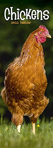 Chickens - Hühner 2022: Original Avonside-Kalender - Slimline [Mehrsprachig] [Kalender] (Slimline-Kalender)