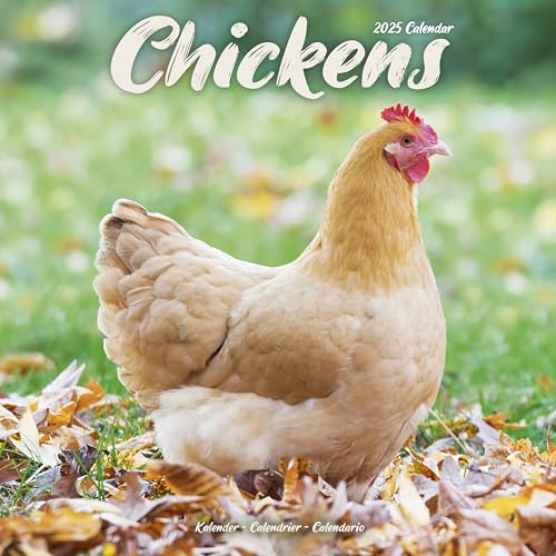 Chickens – Hühner 2025 – 16-Monatskalender: Original Avonside-Kalender [Mehrsprachig] [Kalender] (Wall-Kalender)