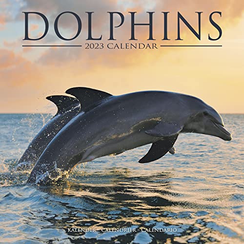 Dolphins – Delfine – Delphine 2023 – 16-Monatskalender: Original Avonside-Kalender [Mehrsprachig] [Kalender] (Wall-Kalender) von BrownTrout