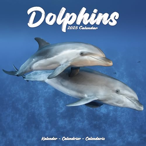Dolphins – Delfine – Delphine 2025 – 16-Monatskalender: Original Avonside-Kalender [Mehrsprachig] [Kalender] (Wall-Kalender)