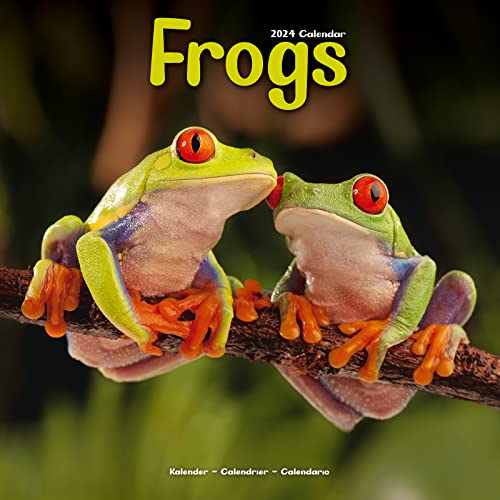 Frogs - Frösche 2024 - 16-Monatskalender: Original Avonside-Kalender [Mehrsprachig] [Kalender] (Wall-Kalender) von Avonside Publishing Ltd