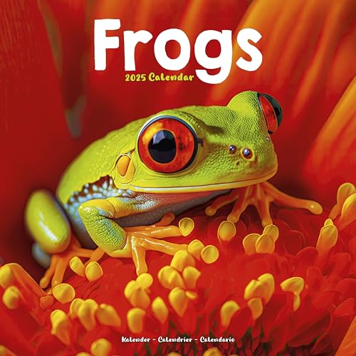 Frogs – Frösche 2025 – 16-Monatskalender: Original Avonside-Kalender [Mehrsprachig] [Kalender] (Wall-Kalender)