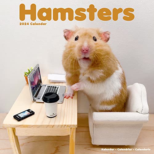 Hamsters – Hamster 2024 - 16-Monatskalender: Original Avonside-Kalender [Mehrsprachig] [Kalender] (Wall-Kalender) von AVONSIDE