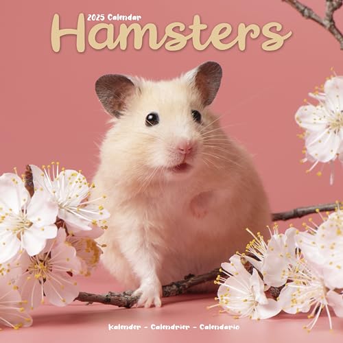 Hamsters – Hamster 2025 – 16-Monatskalender: Original Avonside-Kalender [Mehrsprachig] [Kalender] (Wall-Kalender)