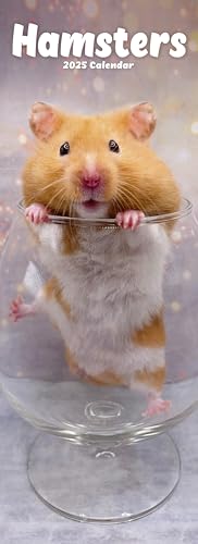 Hamsters – Hamster 2025: Original Avonside-Kalender – Slimline [Mehrsprachig] [Kalender] (Slimline-Kalender)