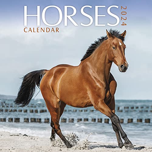 Horses 2024 Calendar Horses 2024 Calendar
