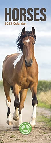 Horses - Pferde 2023: Original Avonside-Kalender - Slimline [Mehrsprachig] [Kalender] (Slimline-Kalender)