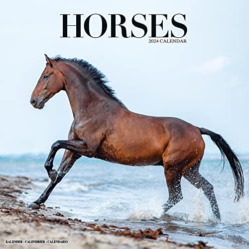 Horses – Pferde 2024 - 16-Monatskalender: Original Avonside-Kalender [Mehrsprachig] [Kalender] (Wall-Kalender)