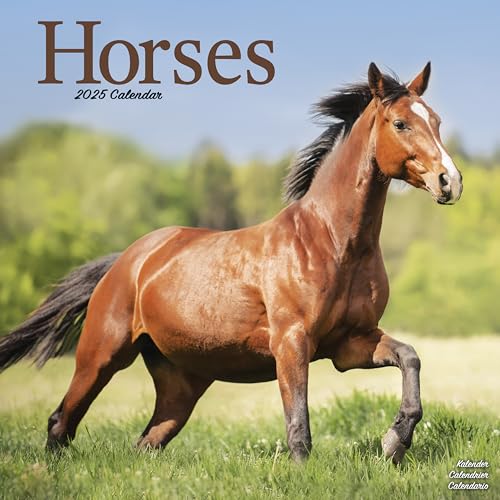 Horses – Pferde 2025 – 16-Monatskalender: Original Avonside-Kalender [Mehrsprachig] [Kalender] (Wall-Kalender)