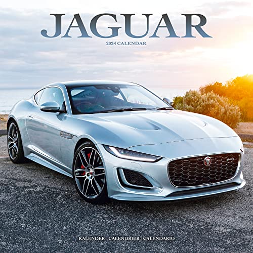 Jaguar 2024 – 16-Monatskalender: Original Avonside-Kalender [Mehrsprachig] [Kalender] (Wall-Kalender)
