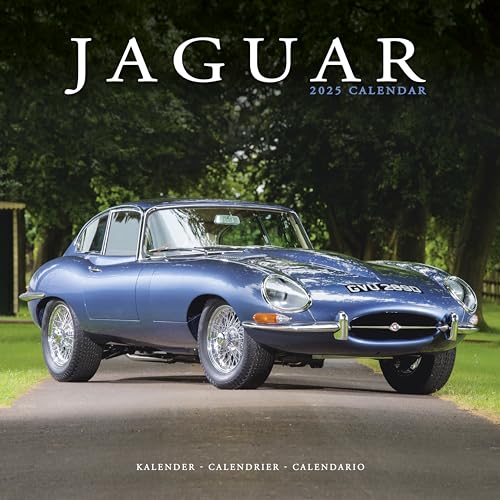 Jaguar 2025 – 16-Monatskalender: Original Avonside-Kalender [Mehrsprachig] [Kalender] (Wall-Kalender)