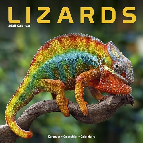 Lizards – Eidechsen 2025 – 16-Monatskalender: Original Avonside-Kalender [Mehrsprachig] [Kalender] (Wall-Kalender)