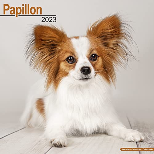 Papillon 2023 - 16-Monatskalender: Original Avonside-Kalender [Mehrsprachig] [Kalender] (Wall-Kalender) von AVONSIDE