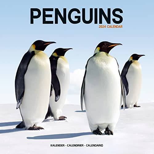 Penguins - Pinguine 2024 - 16-Monatskalender: Original Avonside-Kalender [Mehrsprachig] [Kalender] (Wall-Kalender)