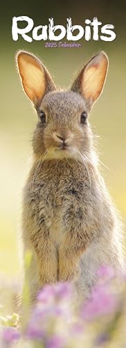Rabbits – Kaninchen 2025: Original Avonside-Kalender – Slimline [Mehrsprachig] [Kalender] (Slimline-Kalender)