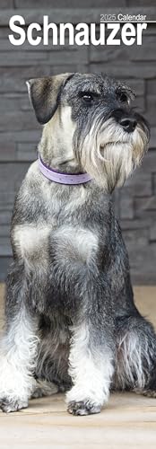 Schnauzer 2025: Original Avonside-Kalender – Slimline [Mehrsprachig] [Kalender] (Slimline-Kalender)