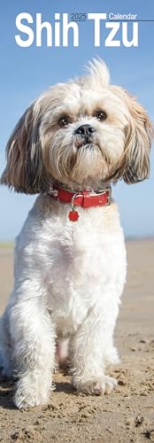 Shih Tzu 2025: Original Avonside-Kalender – Slimline [Mehrsprachig] [Kalender] (Slimline-Kalender)