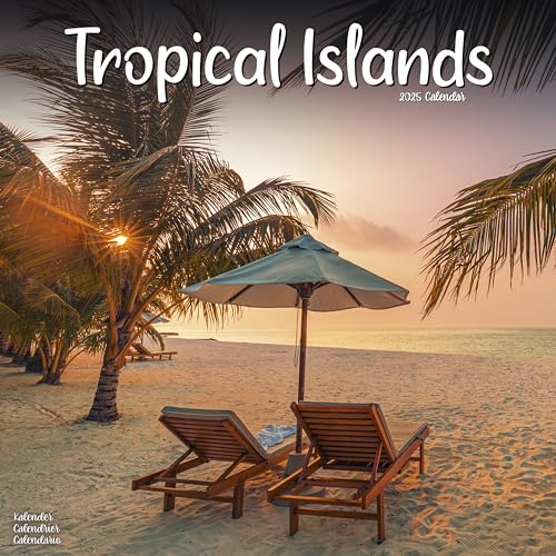 Tropical Islands – Tropische Inselparadiese 2025 – 16-Monatskalender: Original Avonside-Kalender [Mehrsprachig] [Kalender] (Wall-Kalender)