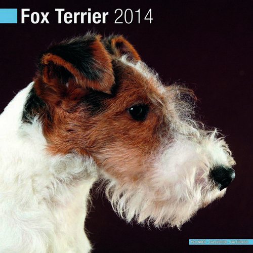 Fox Terrier 2014 (Calendar 2014)