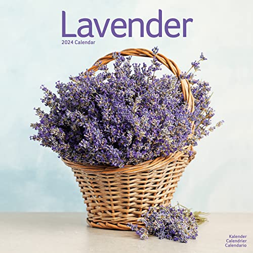 Lavender - Lavendel 2024 – 16-Monatskalender: Original Avonside-Kalender [Mehrsprachig] [Kalender] (Wall-Kalender) von Avonside Publishing Ltd