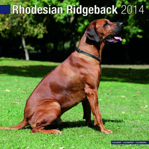 Rhodesian Ridgeback 2014 (Calendar 2014)
