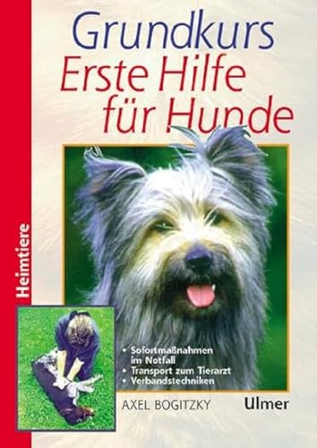 Grundkurs Erste Hilfe für Hunde: Sofortmaßnahmen im Notfall. Bergen, Lagern, Verbinden. Die Notfälle von A bis Z