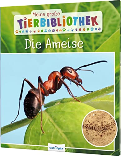 Meine große Tierbibliothek: Die Ameise: Sachbuch für Vorschule & Grundschule von Esslinger Verlag