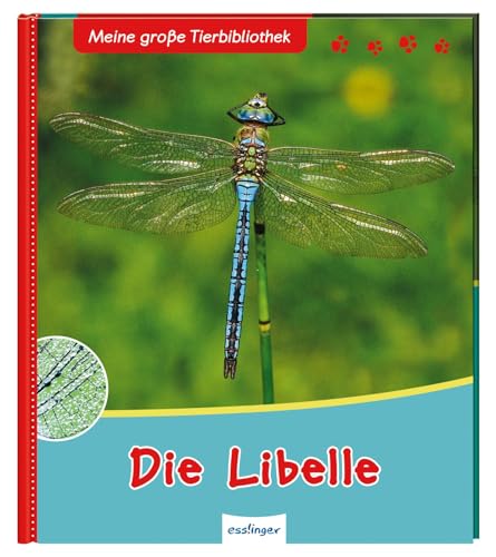 Meine große Tierbibliothek: Die Libelle: Sachbuch für Vorschule & Grundschule von Esslinger Verlag