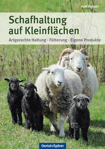 Schafhaltung auf Kleinflächen: Artgerechte Haltung, Fütterung, eigene Produkte