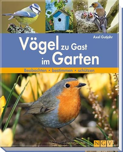 Vögel zu Gast im Garten: Beobachten - bestimmen - schützen