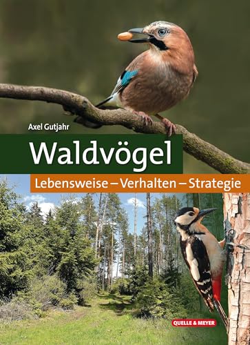 Waldvögel: Lebensweise – Verhalten – Strategie
