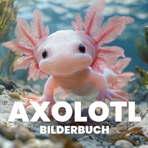 Axolotl Bilderbuch von Independently published