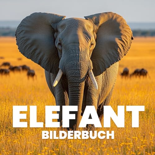 Elefant Bilderbuch von Independently published