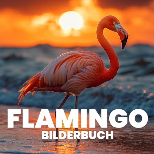 Flamingo Bilderbuch von Independently published