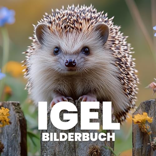 Igel Bilderbuch von Independently published
