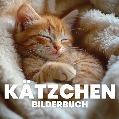 Kätzchen Bilderbuch von Independently published