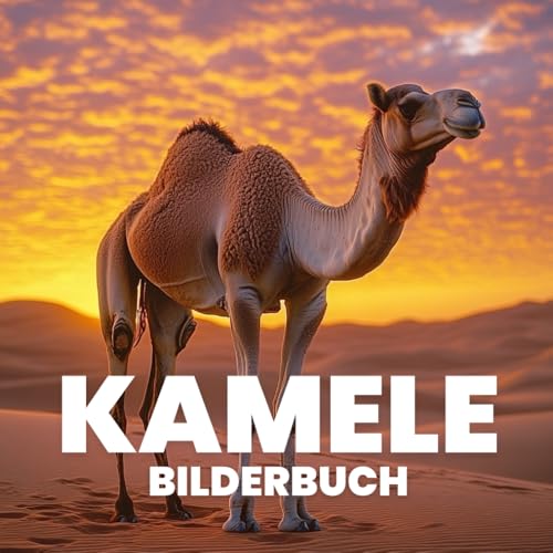 Kamele Bilderbuch von Independently published