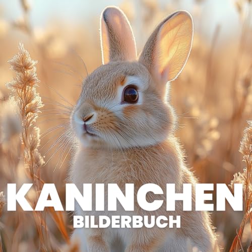 Kaninchen Bilderbuch von Independently published