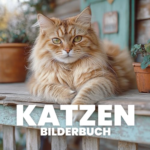 Katzen Bilderbuch von Independently published