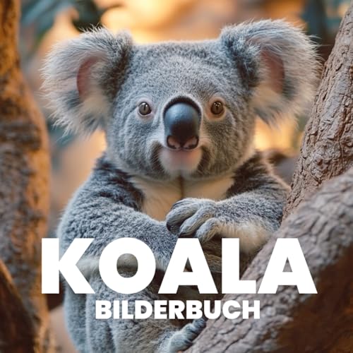 Koala Bilderbuch von Independently published